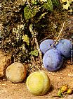 Bank Canvas Paintings - Still Life With Greengages And Plums On A Mossy Bank
